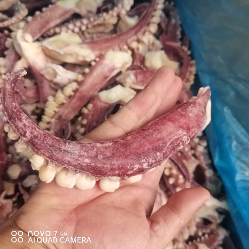 章鱼足，章鱼海鲜水产