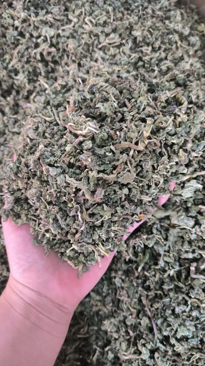 中药材薄荷干薄荷泡水泡茶薄荷叶干薄荷叶无硫干货