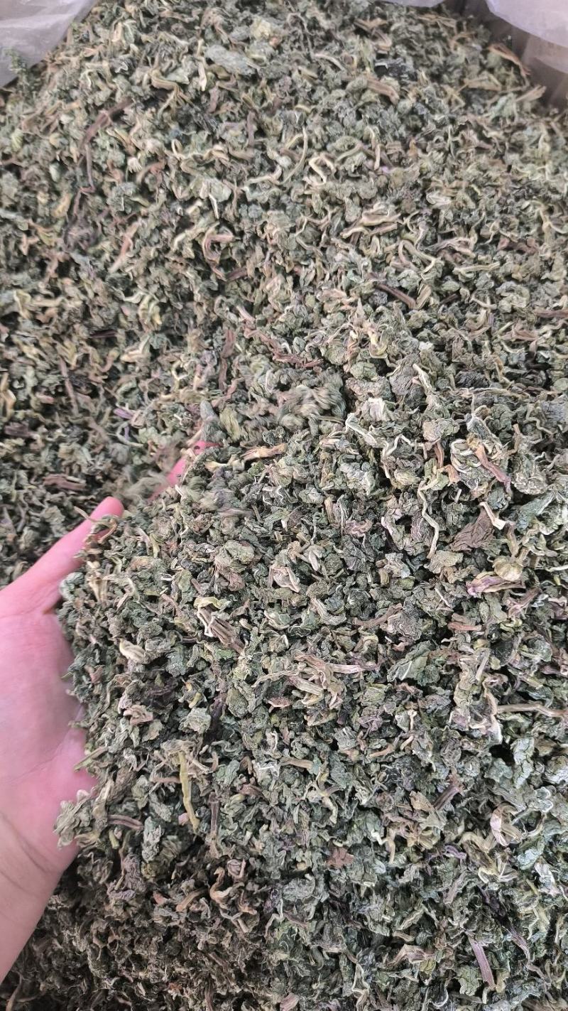 中药材薄荷干薄荷泡水泡茶薄荷叶干薄荷叶无硫干货