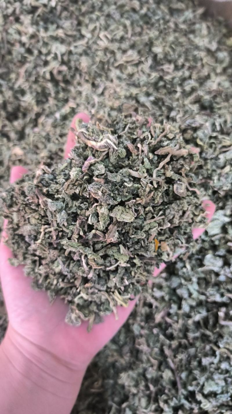 中药材薄荷干薄荷泡水泡茶薄荷叶干薄荷叶无硫干货