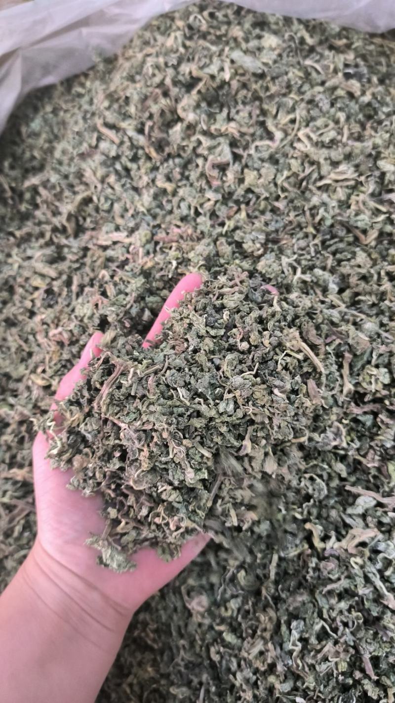 中药材薄荷干薄荷泡水泡茶薄荷叶干薄荷叶无硫干货