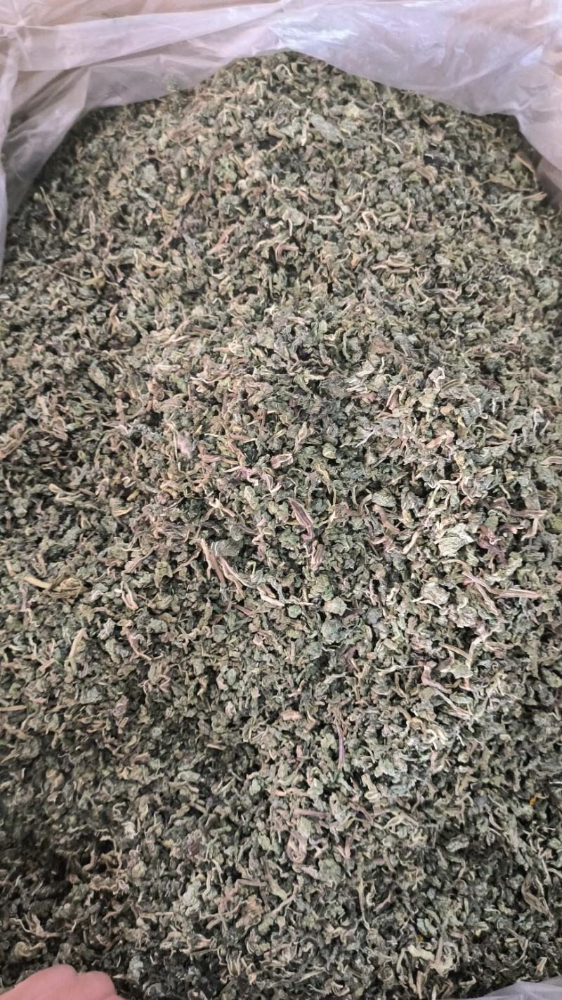 中药材薄荷干薄荷泡水泡茶薄荷叶干薄荷叶无硫干货
