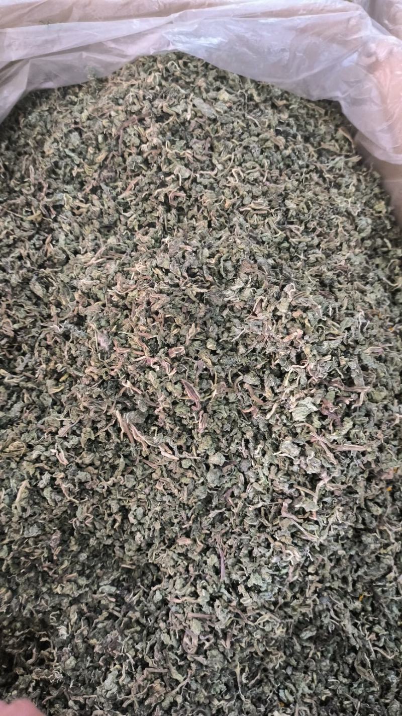 中药材薄荷干薄荷泡水泡茶薄荷叶干薄荷叶无硫干货