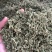 中药材薄荷干薄荷泡水泡茶薄荷叶干薄荷叶无硫干货