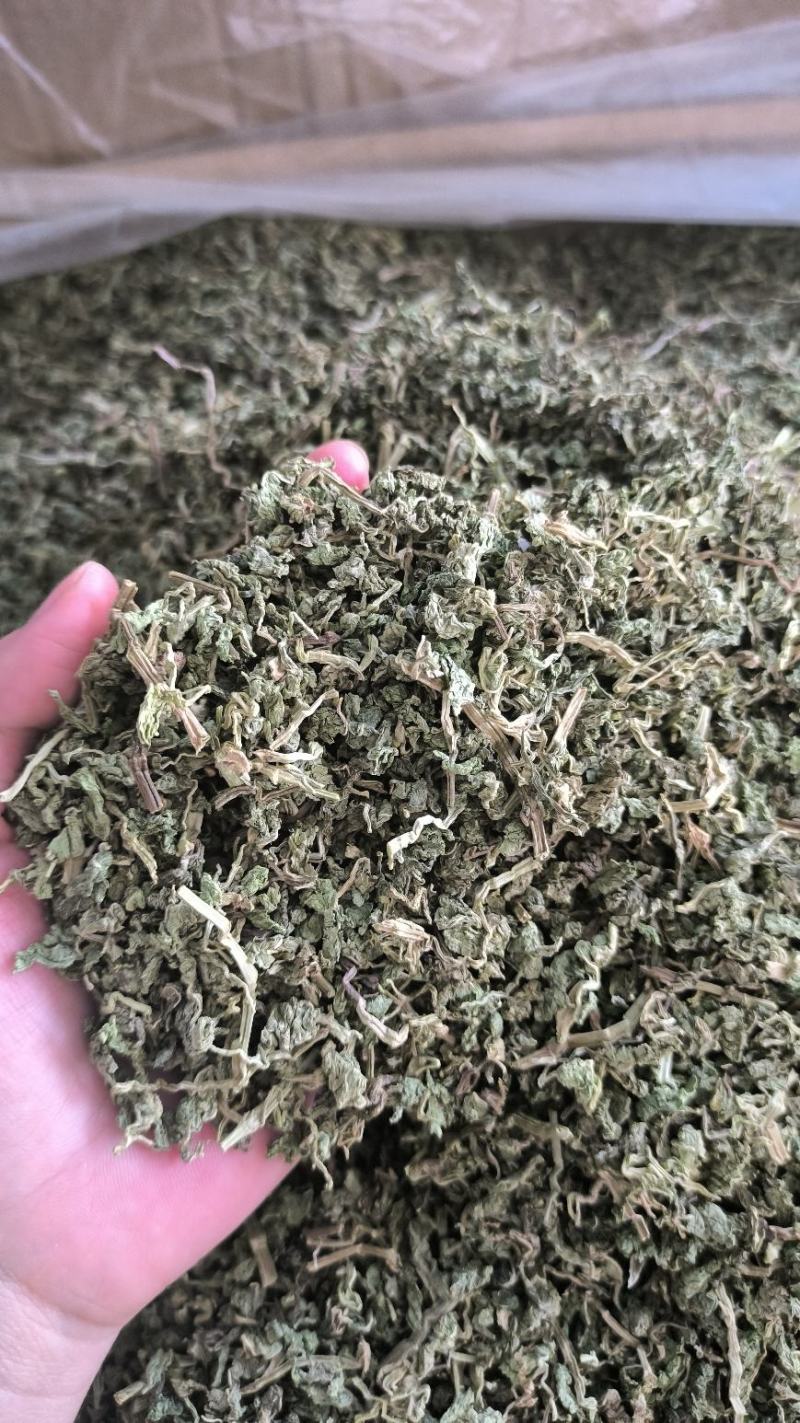 中药材薄荷干薄荷泡水泡茶薄荷叶干薄荷叶无硫干货