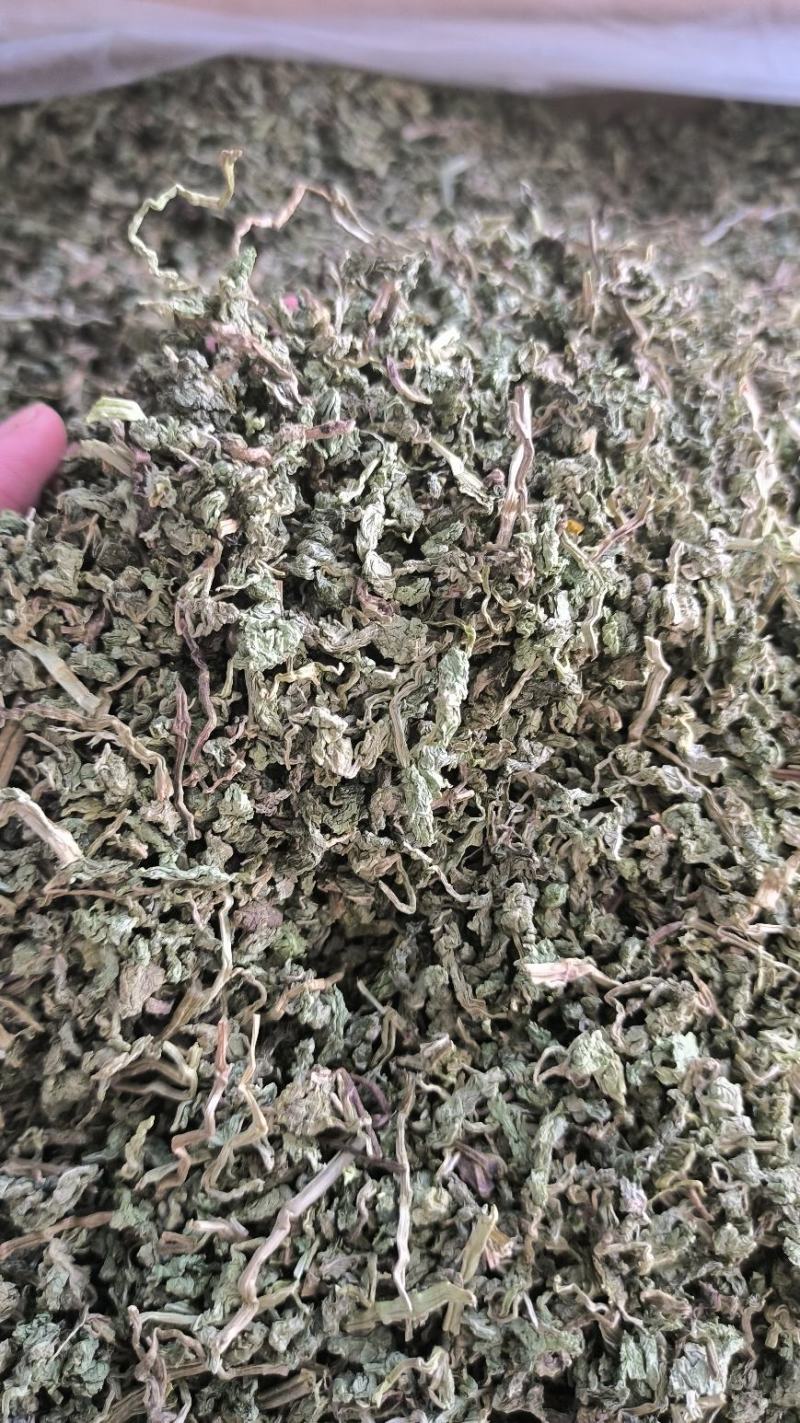 中药材薄荷干薄荷泡水泡茶薄荷叶干薄荷叶无硫干货