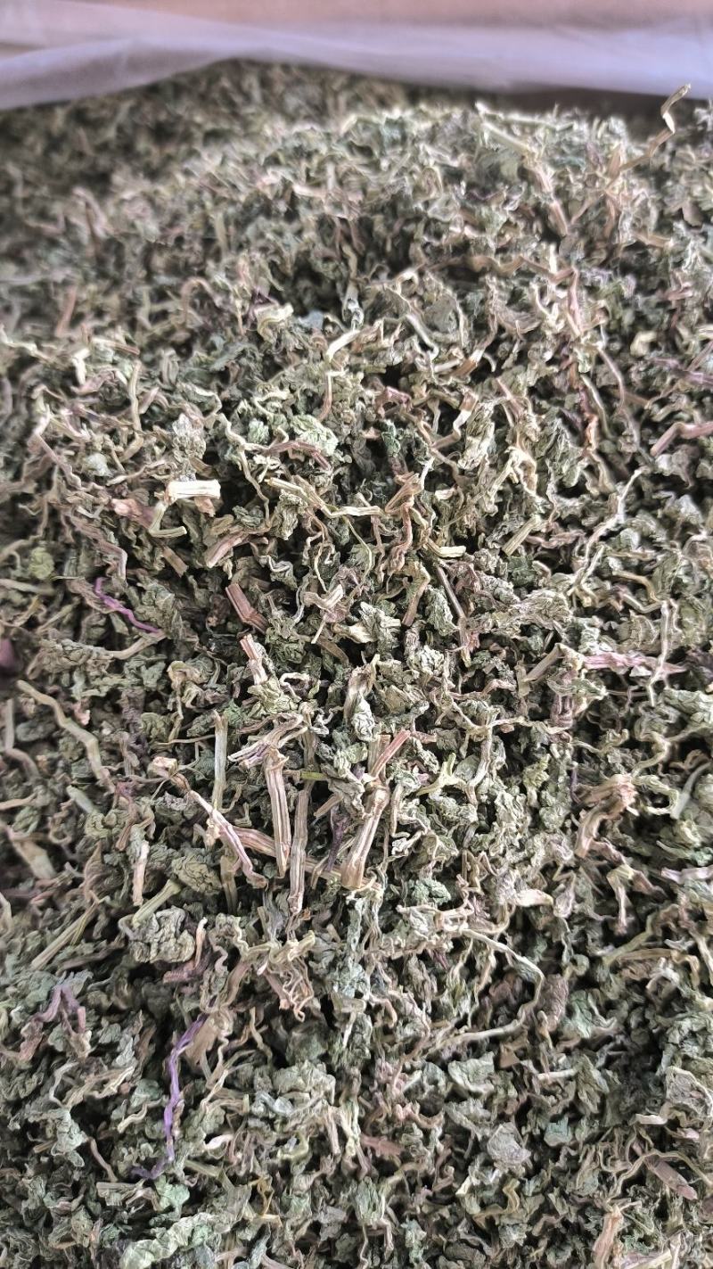 中药材薄荷干薄荷泡水泡茶薄荷叶干薄荷叶无硫干货