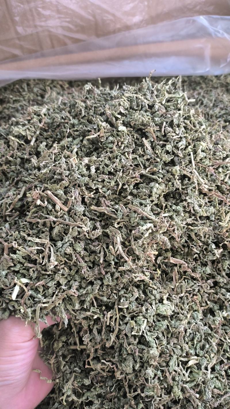 中药材薄荷干薄荷泡水泡茶薄荷叶干薄荷叶无硫干货