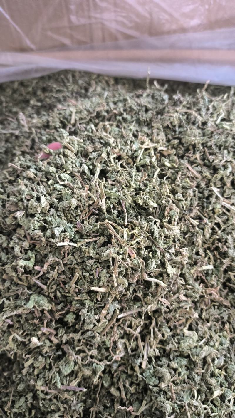 中药材薄荷干薄荷泡水泡茶薄荷叶干薄荷叶无硫干货
