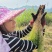 贵州从江高山优质水苔干货无杂草一千斤起批