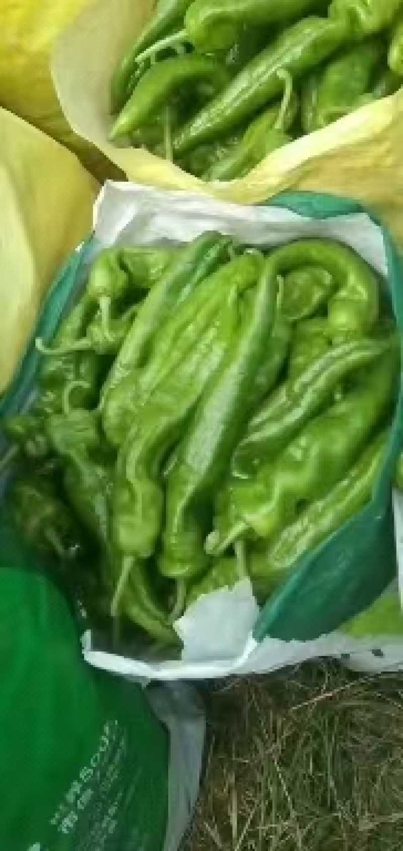 精品泡椒，青椒大量上市中，货源充足，产地直供，需要的联系