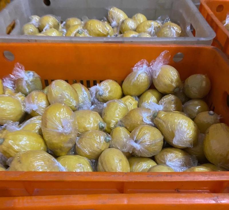 广香水柠檬黄果