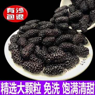 桑葚干黑桑椹免洗新鲜生桑果500g桑甚干即食泡水