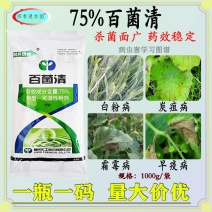 利民统领75%百菌清白粉病炭疽病霜霉病早疫病灰霉病茎腐病