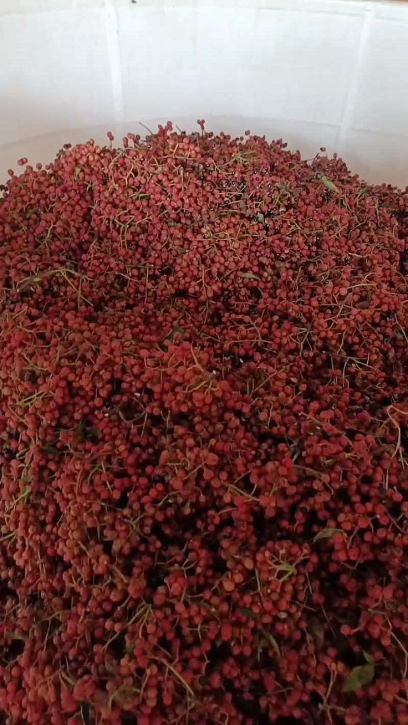 大红袍花椒干净无杂质颗粒大麻度高批发走全国原产地直发