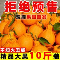 10斤丑橘丑八怪的是当季水果新鲜柑橘不知火非耙耙柑蜜桔