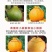 10斤丑橘丑八怪的是当季水果新鲜柑橘不知火非耙耙柑蜜桔