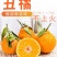 10斤丑橘丑八怪的是当季水果新鲜柑橘不知火非耙耙柑蜜桔