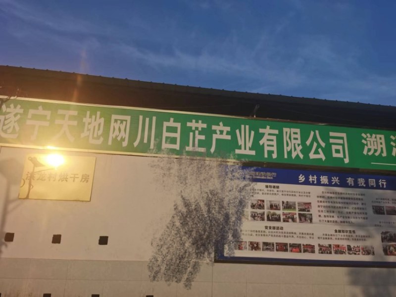 香料白芷个，白芷切片