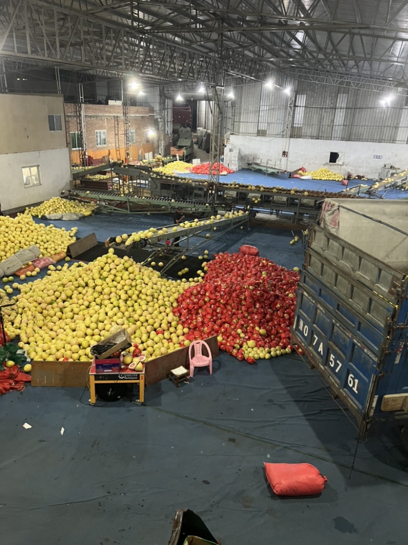 红心蜜柚产地直供一手货源，电商社区团购市场来电咨询