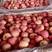 山东红富士苹果大量上市（条红.片红）果园订货.一手货源
