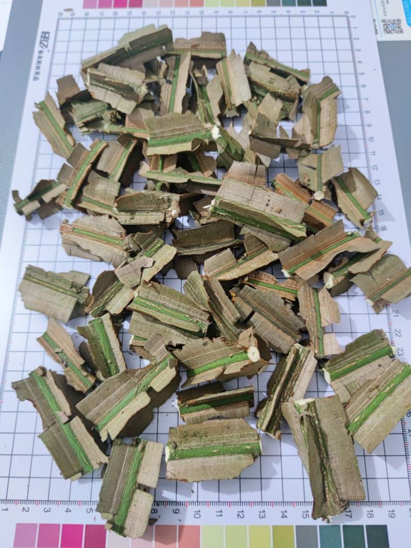 鬼箭羽大片手掰货统货过电筛新鲜枝条各种规格产地大量批发
