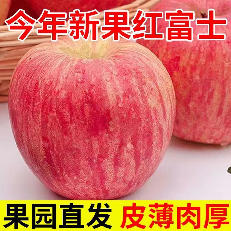精品红富士苹果产地批发可视频看货可提供电商货源
