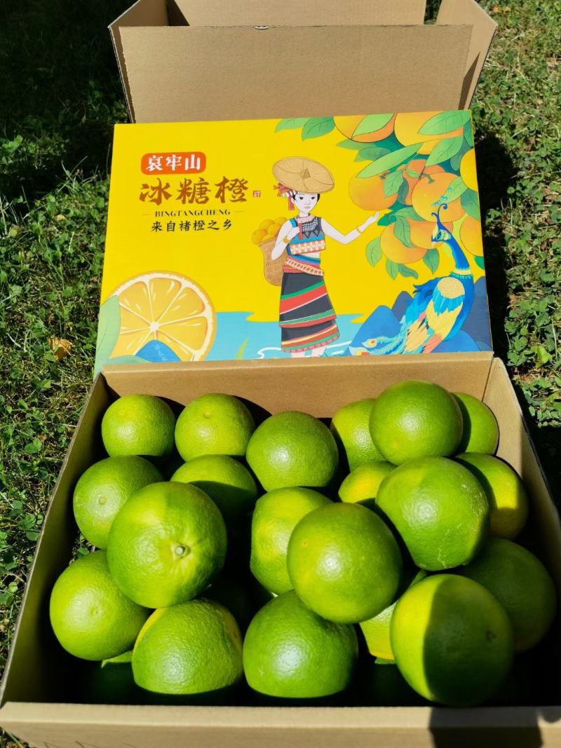 冰糖橙云南现货这几天采