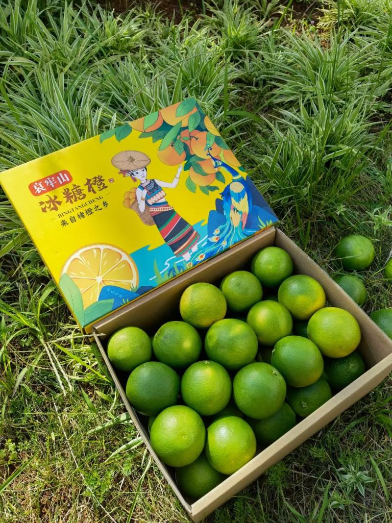 冰糖橙云南现货这几天采