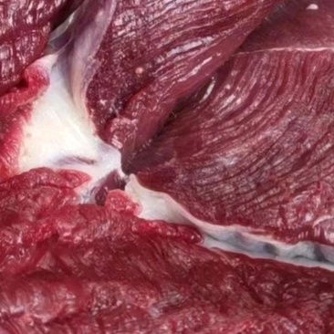 国产屠宰冷鲜纯干牛肉泡沫箱发货