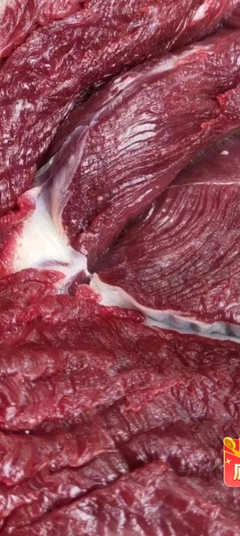 国产屠宰冷鲜纯干牛肉泡沫箱发货
