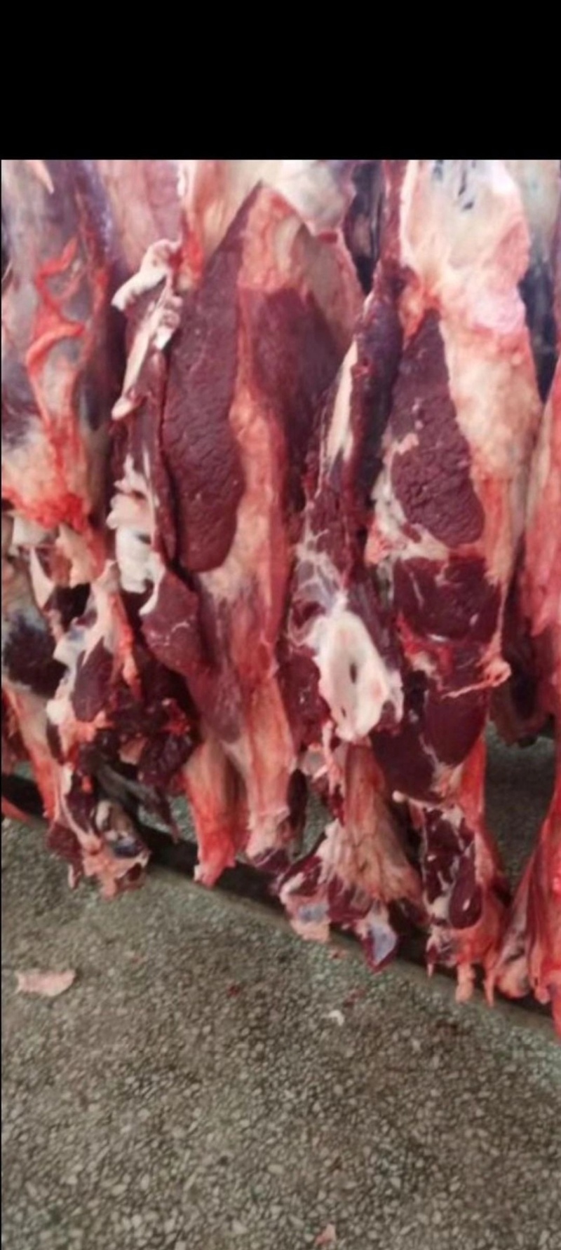 国产屠宰冷鲜纯干牛肉泡沫箱发货