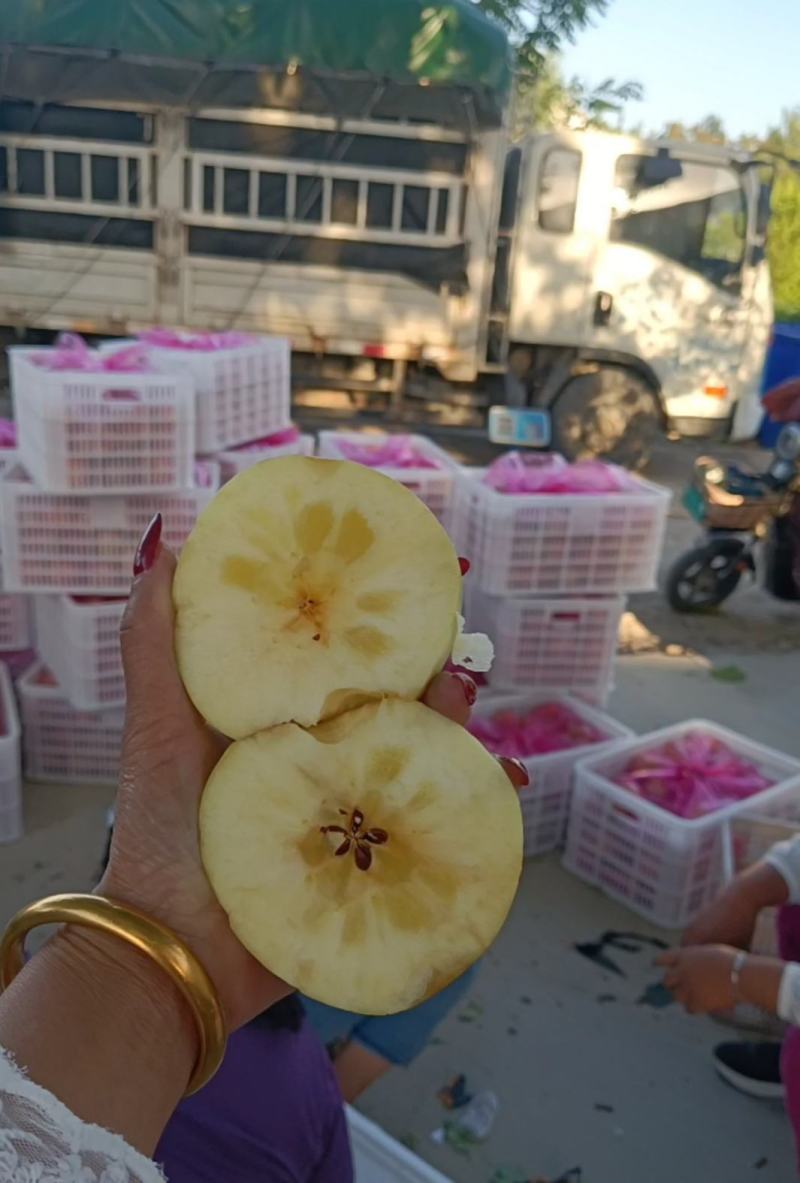 【实力代办】优选红富士苹果大量上市，价格不高，色泽鲜丽