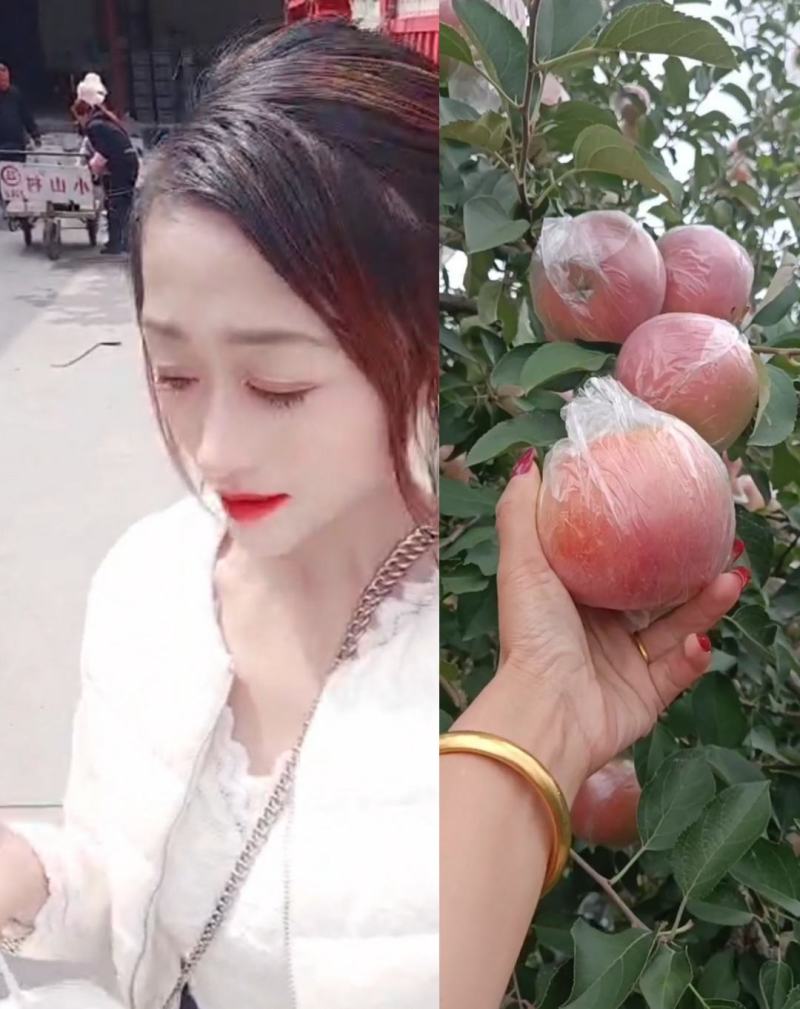 【实力代办】优选红富士苹果大量上市，价格不高，色泽鲜丽