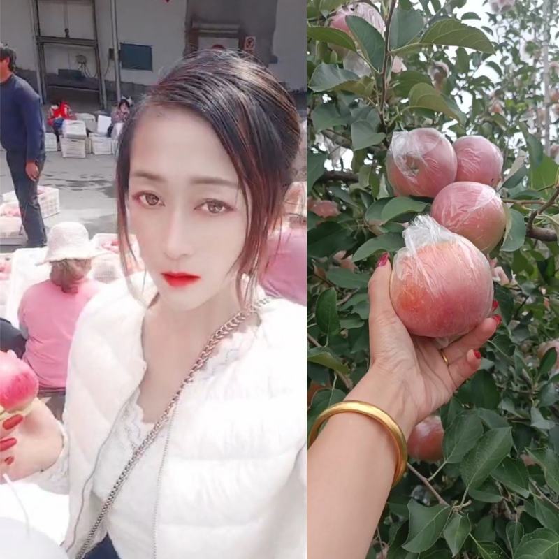 【实力代办】优选红富士苹果大量上市，价格不高，色泽鲜丽