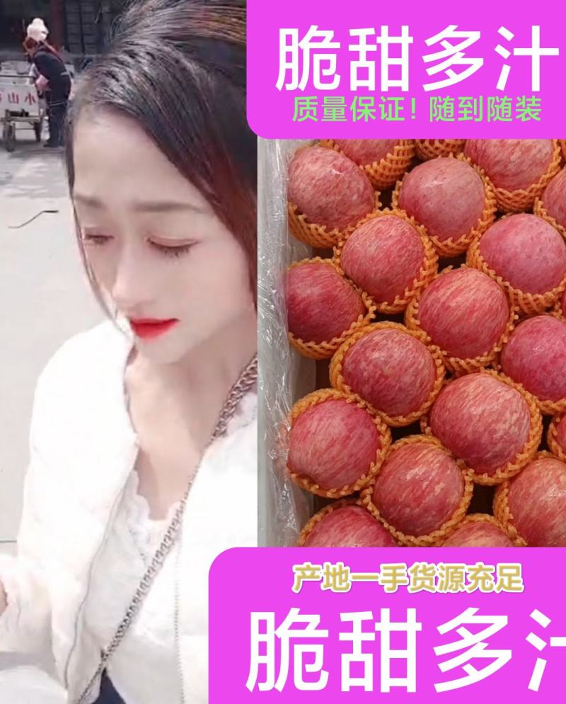 山东膜袋富士苹果口感脆甜色泽鲜艳大量现货随到随装