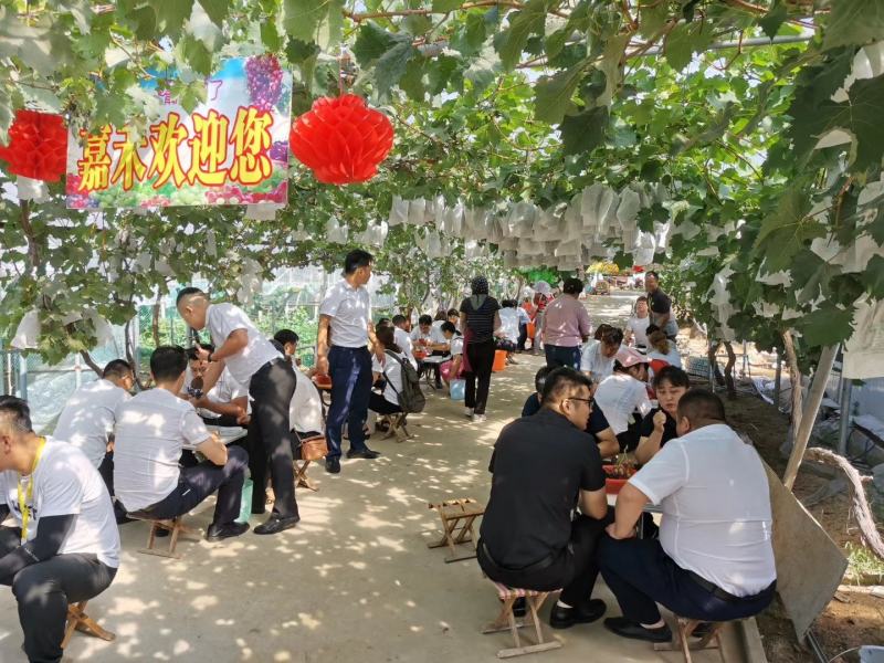 山东莱西阳光玫瑰葡萄大量上市中，对接各渠道销售！