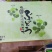 山东莱西阳光玫瑰葡萄大量上市中，对接各渠道销售！
