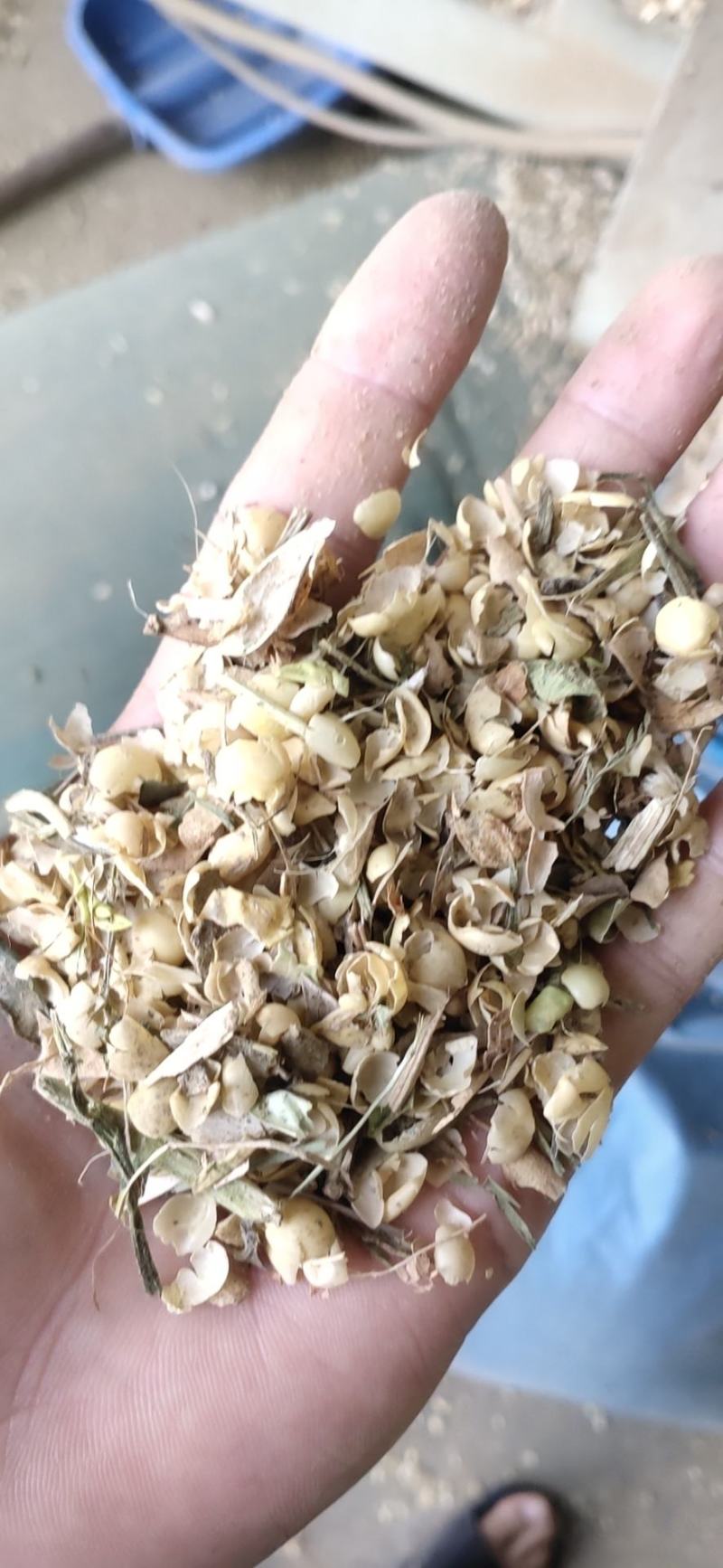 黄豆壳，黄豆夹，喂牛喂羊首先饲料