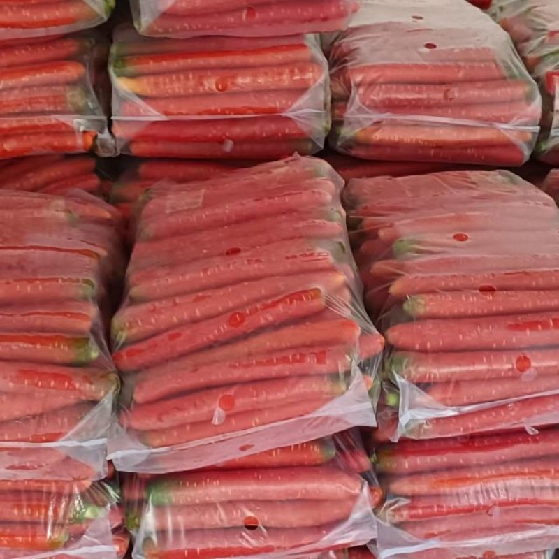 陕西大荔铁杆萝卜大量上市货源充足，质量保证