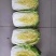 大白菜