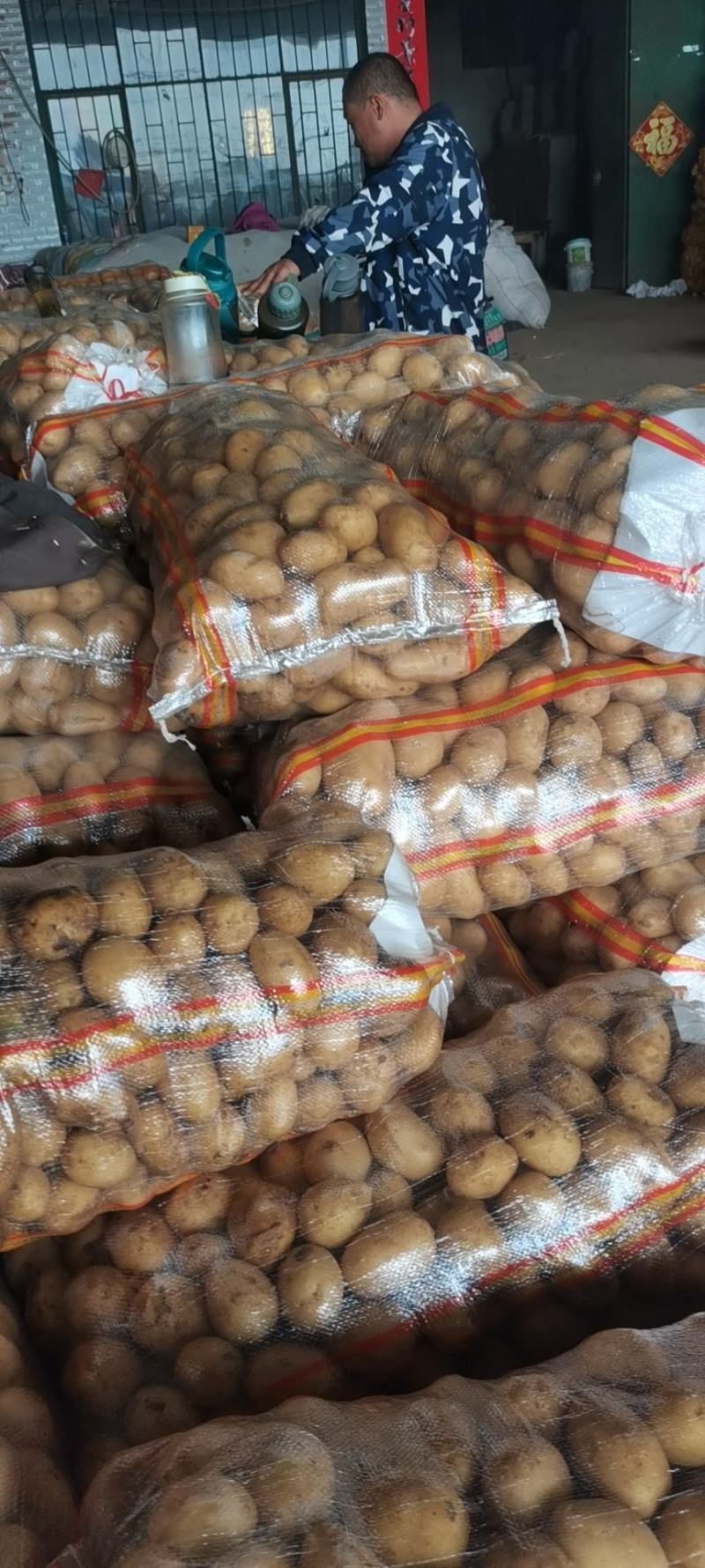 【精品黄心】山东滕州土豆现货现发对接商超档口品质高价格低