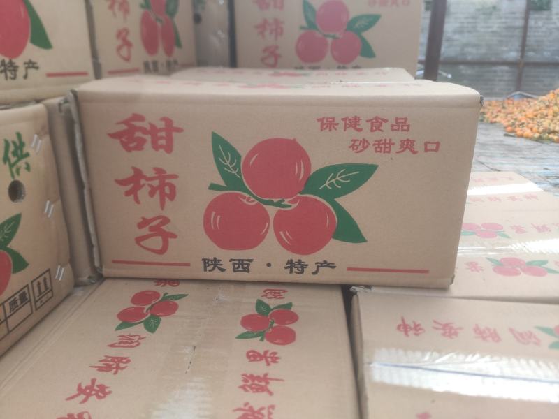 陕西乾县火柿子大量上市