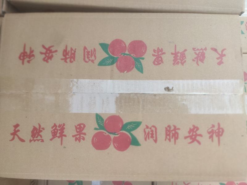 陕西乾县火柿子大量上市