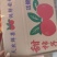 陕西乾县火柿子大量上市