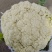 基地套袋精品有机花菜有冷库面白根小，二斤左右，有诚意的来