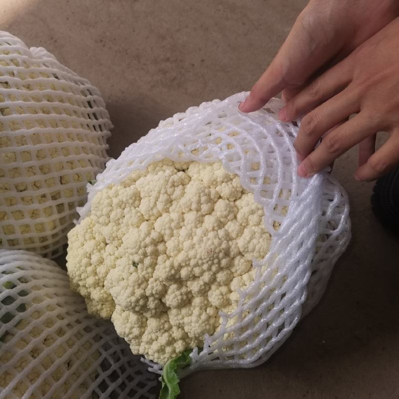 基地套袋精品有机花菜有冷库面白根小，二斤左右，有诚意的来