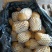 山东冷库黄心土豆荷兰十五土豆大量现货供应