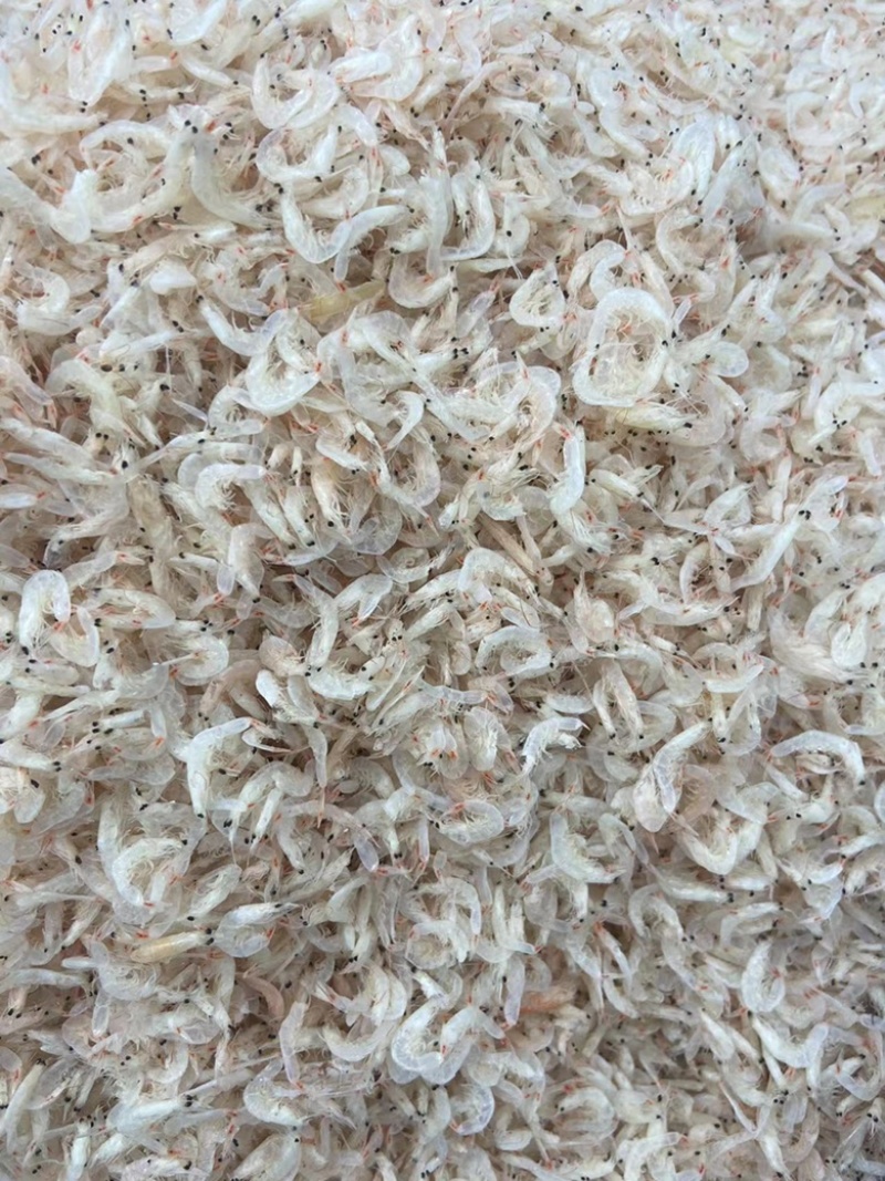 渤海湾水清米低盐虾皮批发一手货源无盐虾皮水货
