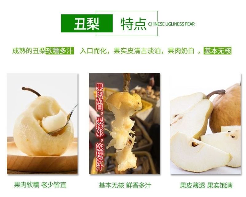 中华烟台丑梨软糯多汁啤梨软梨产地直发一件代发5斤10斤